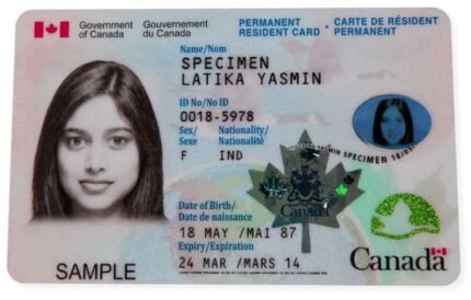 Canadian ID Card-CANADIAN-ID-CARD-768x490-1.jpg