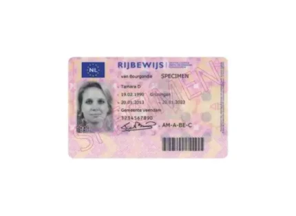 Dutch Driver's License-Dutch-Drivers-License.webp