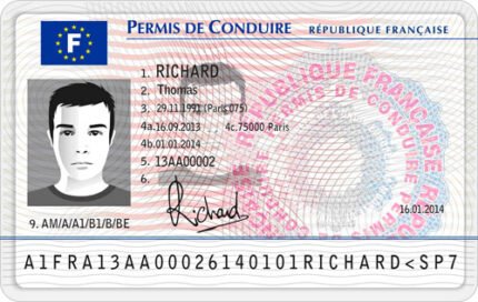 French Driver's License-FRENCH-DRIVERS-LICENSE.jpg